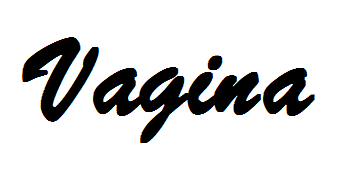 Vagina