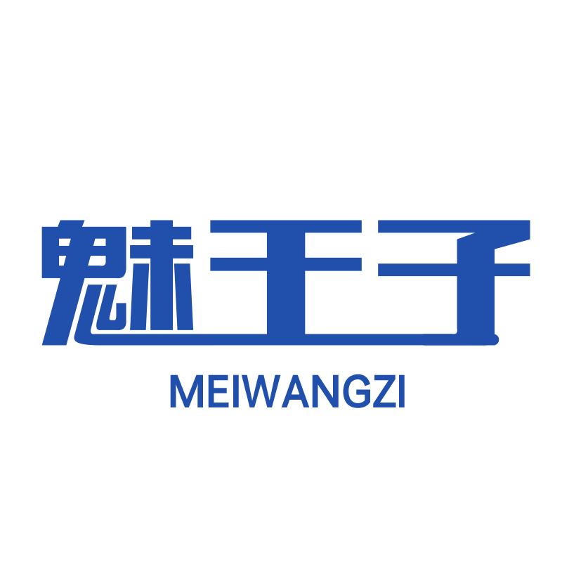 魅王子MEIWANGZI