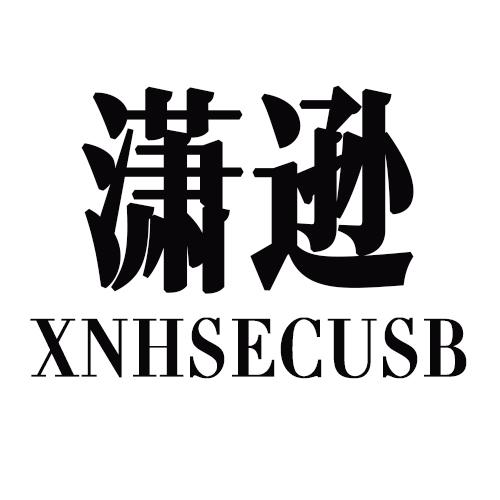 潇逊    XNHSECUSB