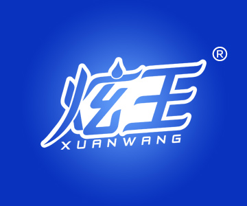 炫王XUANWANG