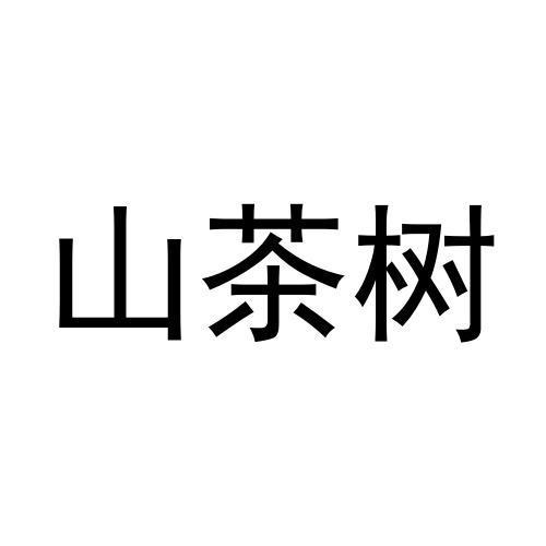 山茶树