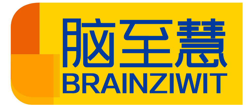 脑至慧 BRAINZIWIT