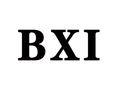 BXI