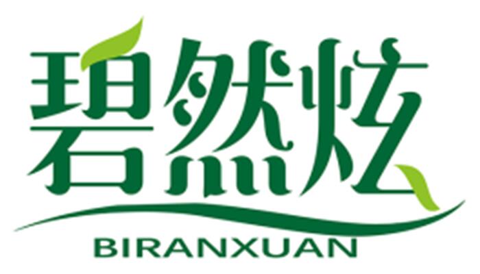 碧然炫 BIRANXUAN