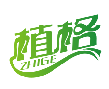 植格ZHIGE