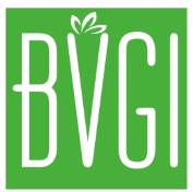 BVGI