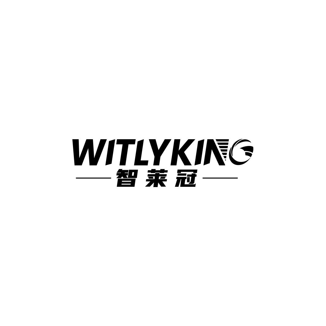 智莱冠 WITLYKING