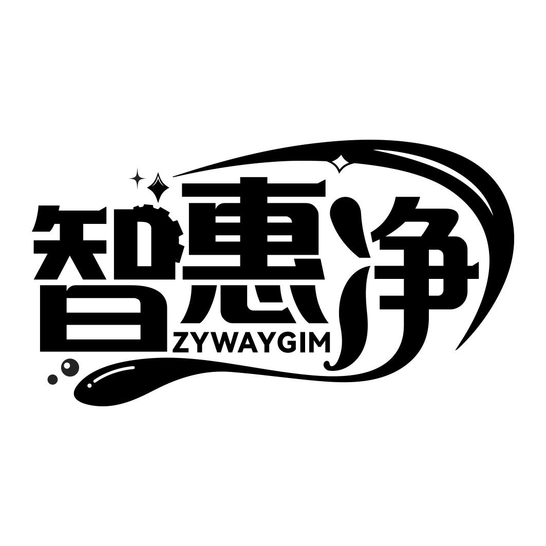 智惠净 ZYWAYGIM