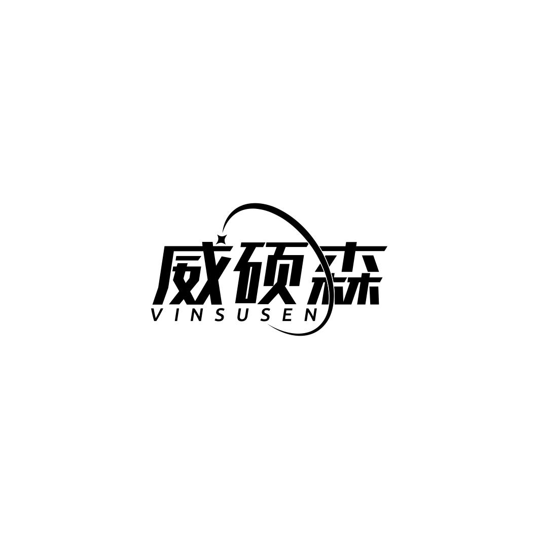 威硕森 VINSUSEN