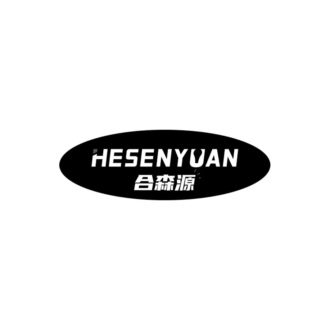 合森源   HESENYUAN