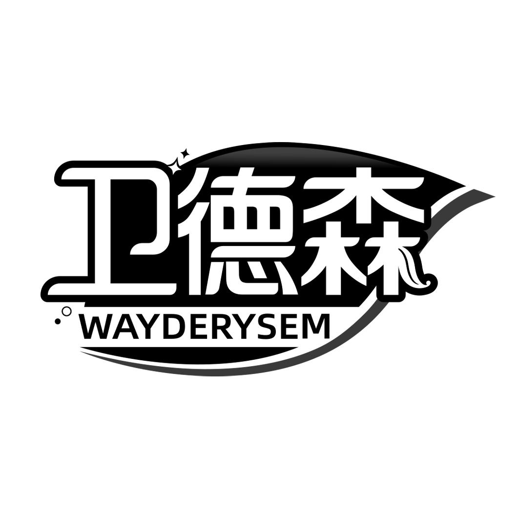 卫德森 WAYDERYSEM