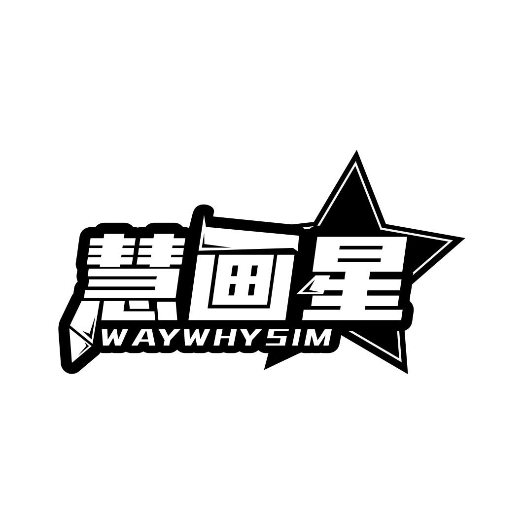 慧画星 WAYWHYSIM