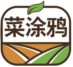 菜涂鸦