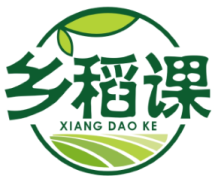 乡稻课
xiang dao ke