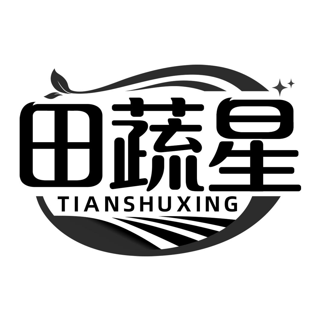 田蔬星      TIANSHUXING