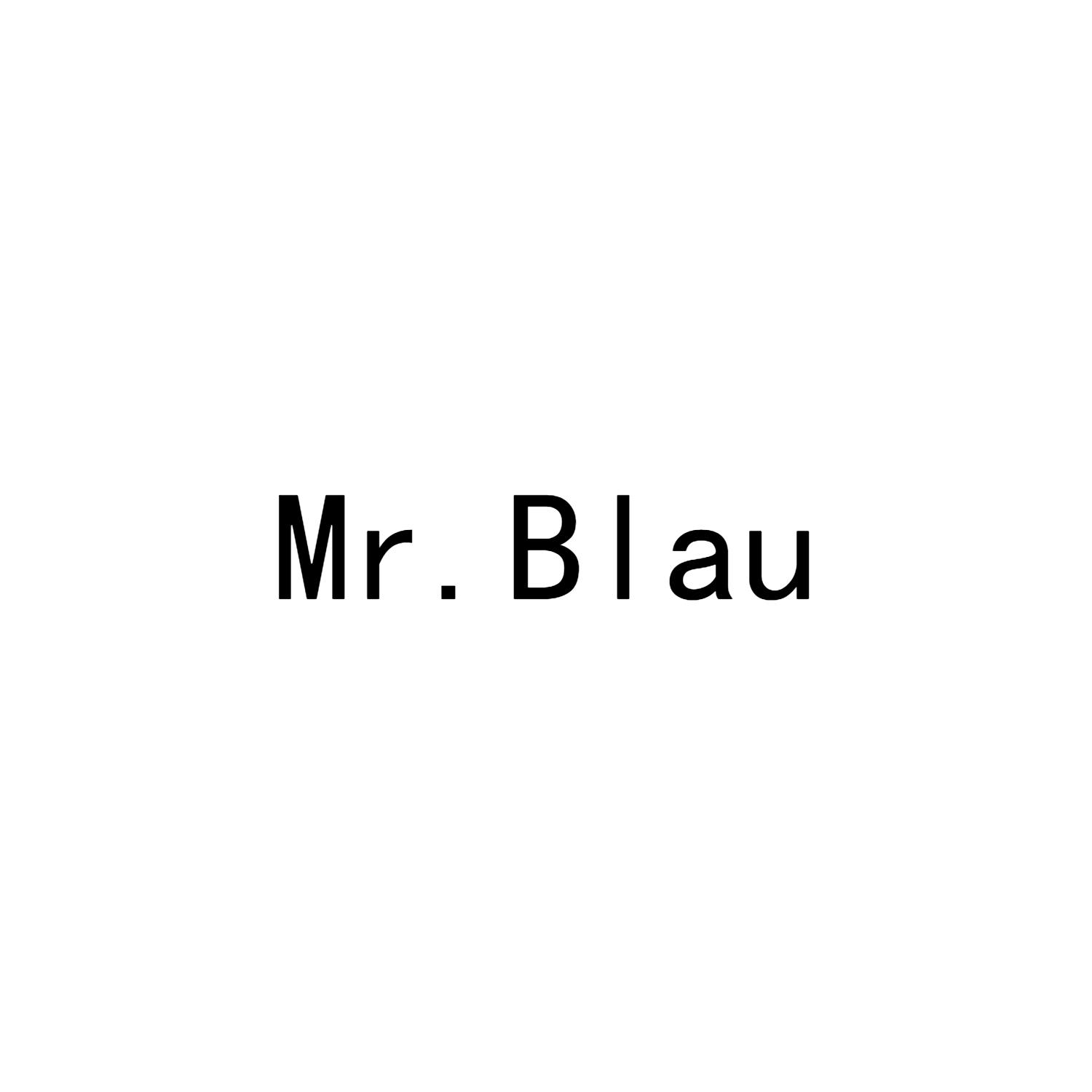 MR.BLAU