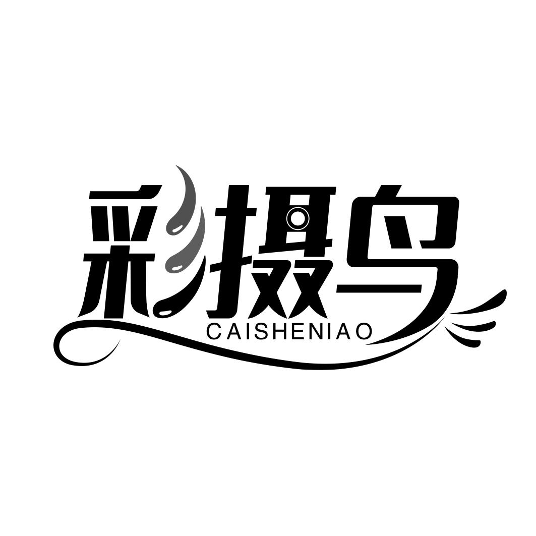 彩摄鸟  CAISHENIAO