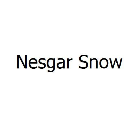 Nesgar Snow