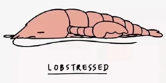 LOBSTRESSED