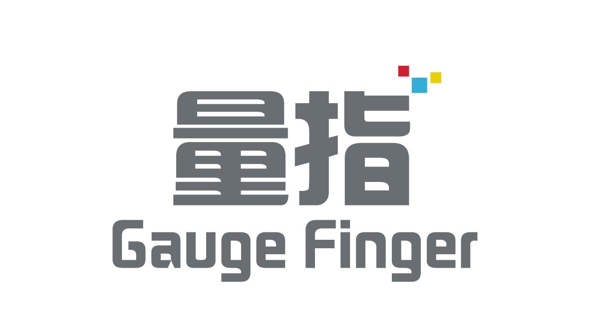 量指 
GAUGE FINGER