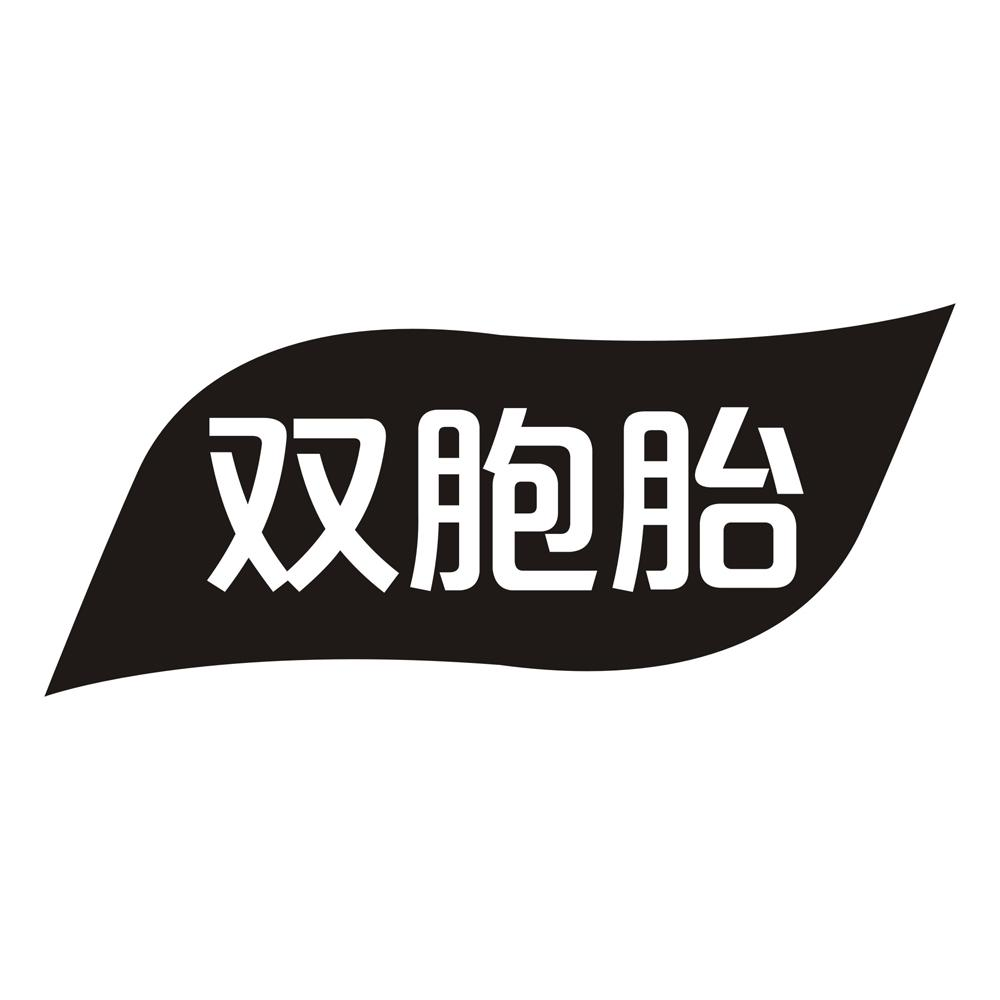 双胞胎