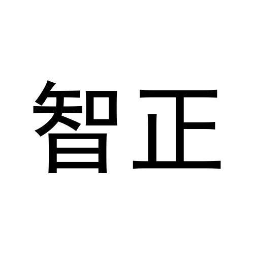 智正