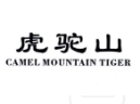 虎驼山     CAMEL MOUNTAIN TIGER