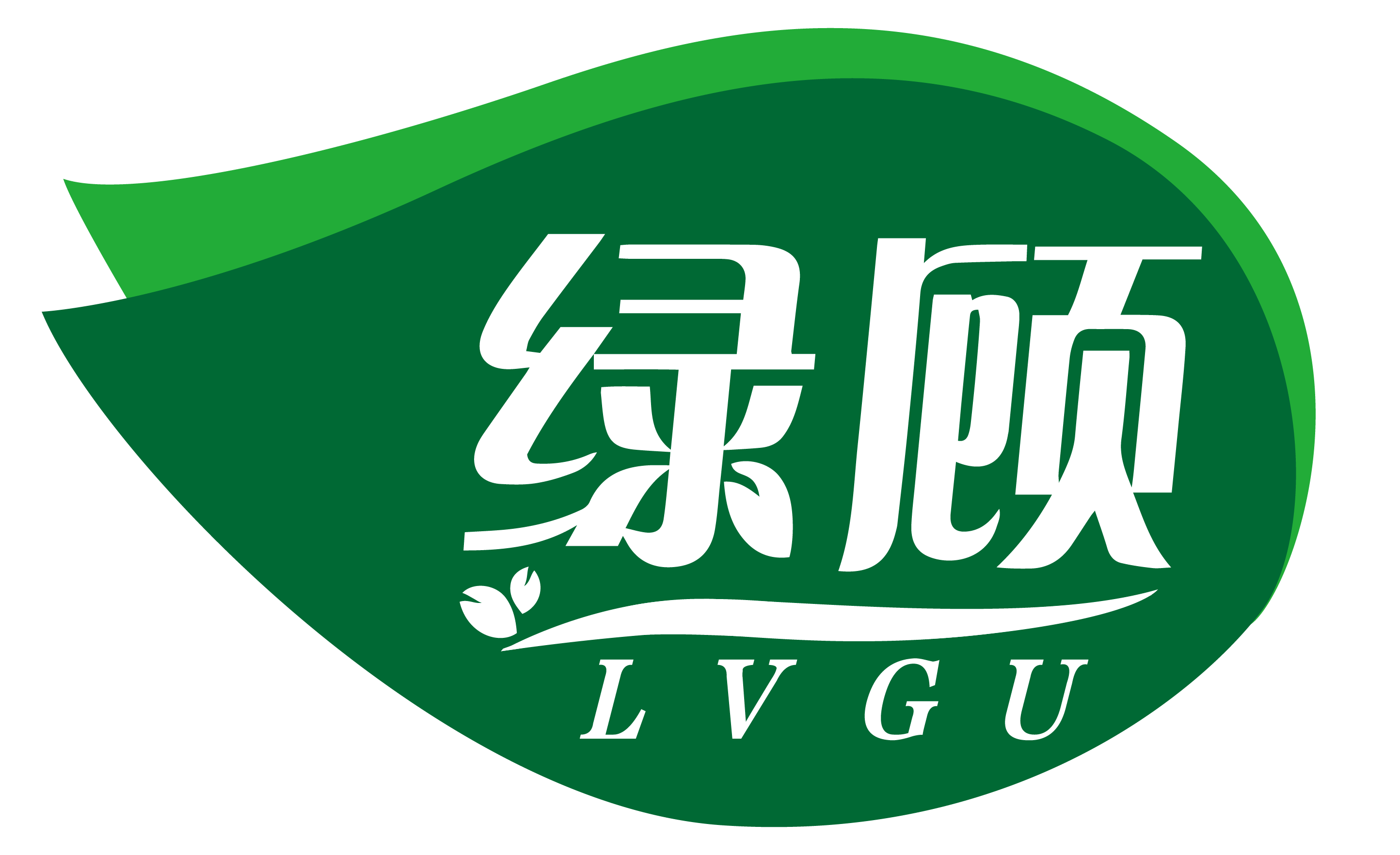 绿顾                LVGU