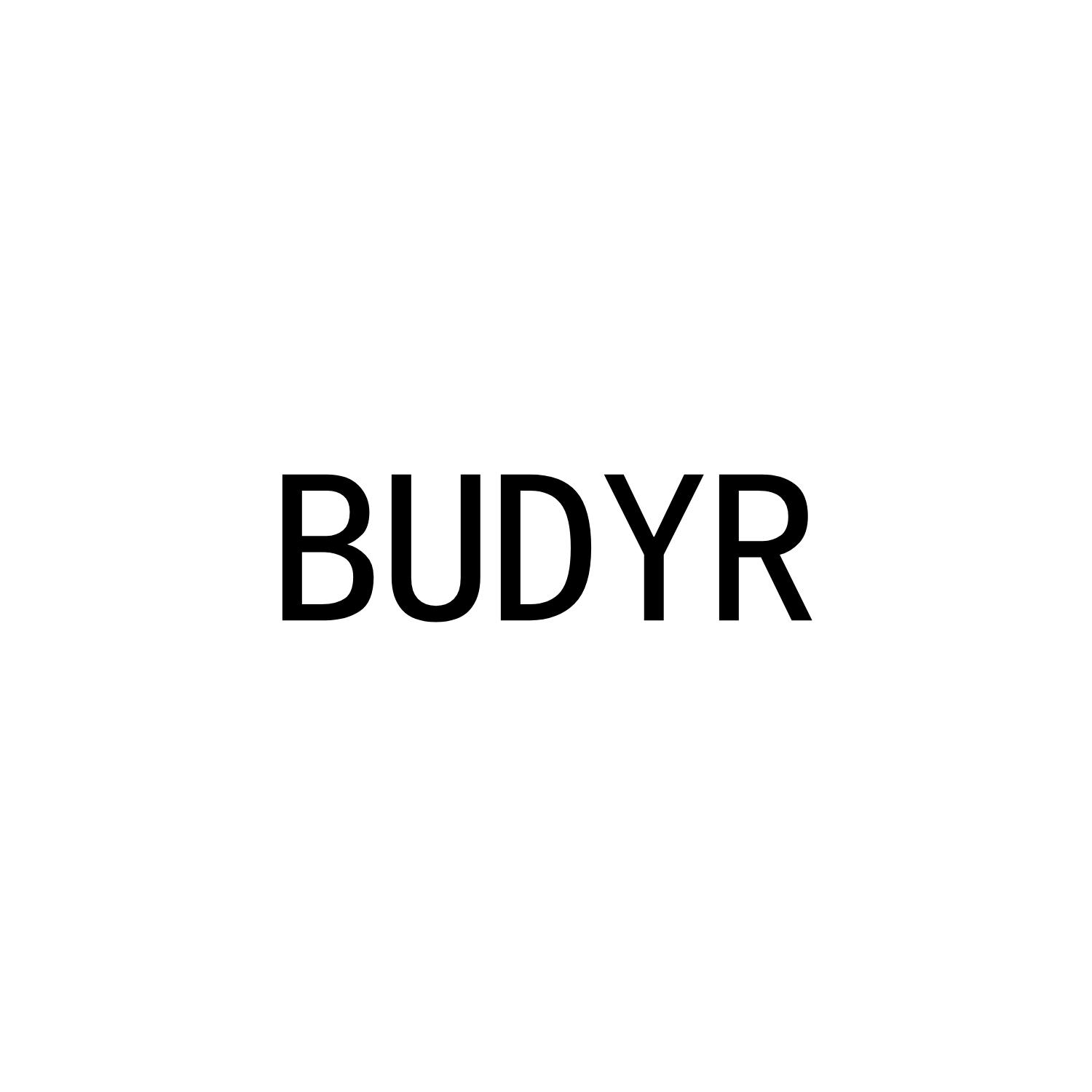 BUDYR