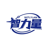 智力量
WITLYLAM