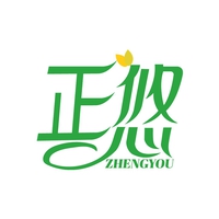 正悠
ZHENGYOU