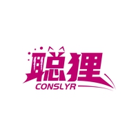 聪狸
CONSLYR