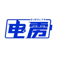 电雳
DIMSLYR