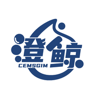 澄鲸
CEMSGIM