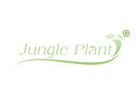 Jungle Plant(丛林植物）