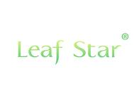 LEAF STAR“一叶之星”