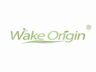 WAKE ORIGIN“唤醒之源”