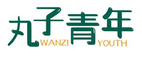 丸子青年 WANZI YOUTH