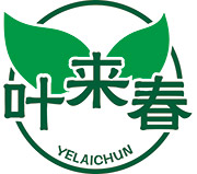 叶来春YELAICHUN