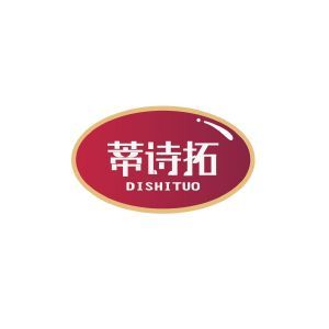 蒂诗拓DISHITUO+图形