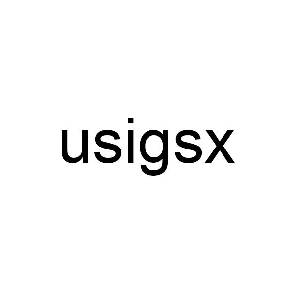 USIGSX