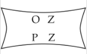 OZPZ