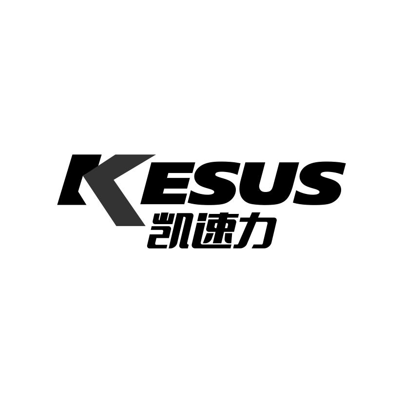 凯速力
KESUS