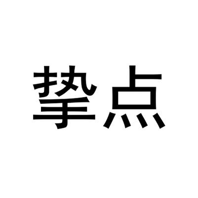 挚点