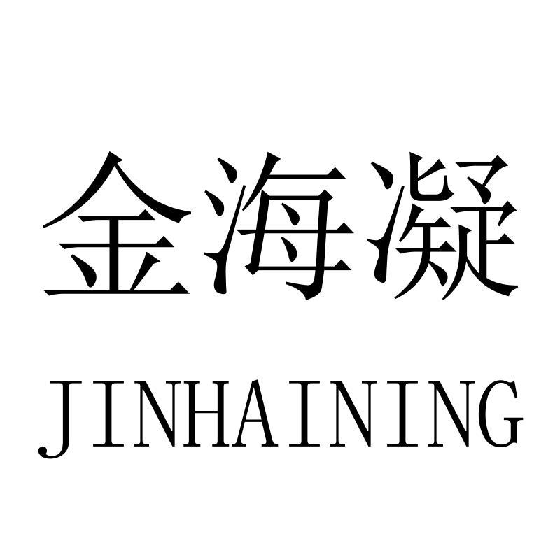 金海凝JINHAINING