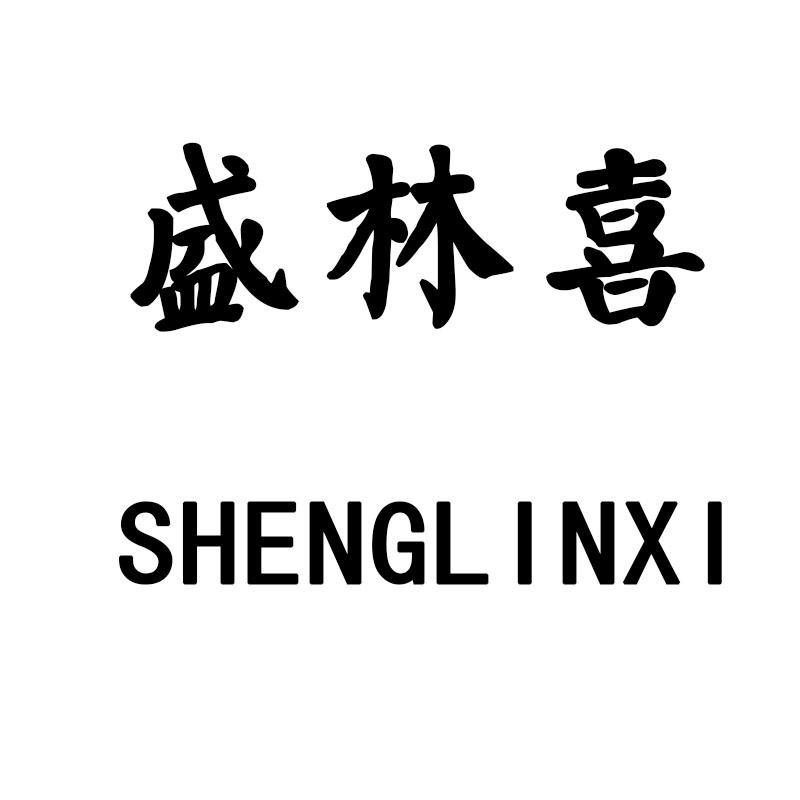 盛林喜SHENGLINXI