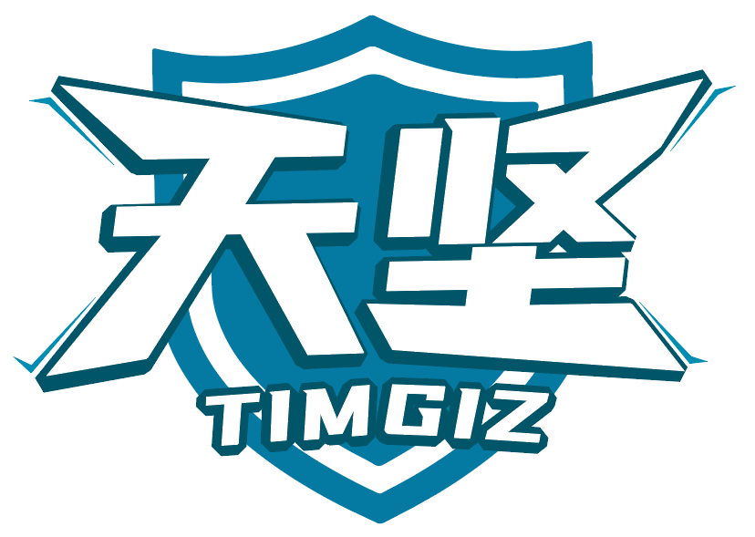 天坚  TIMGIZ