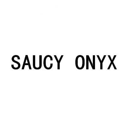 SAUCYONYX/索康尼英文