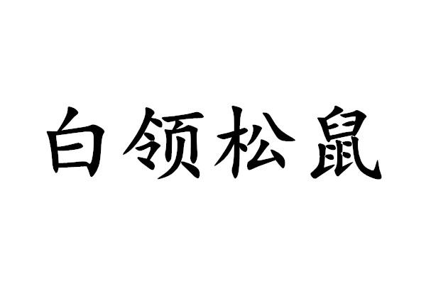 佰年松鼠