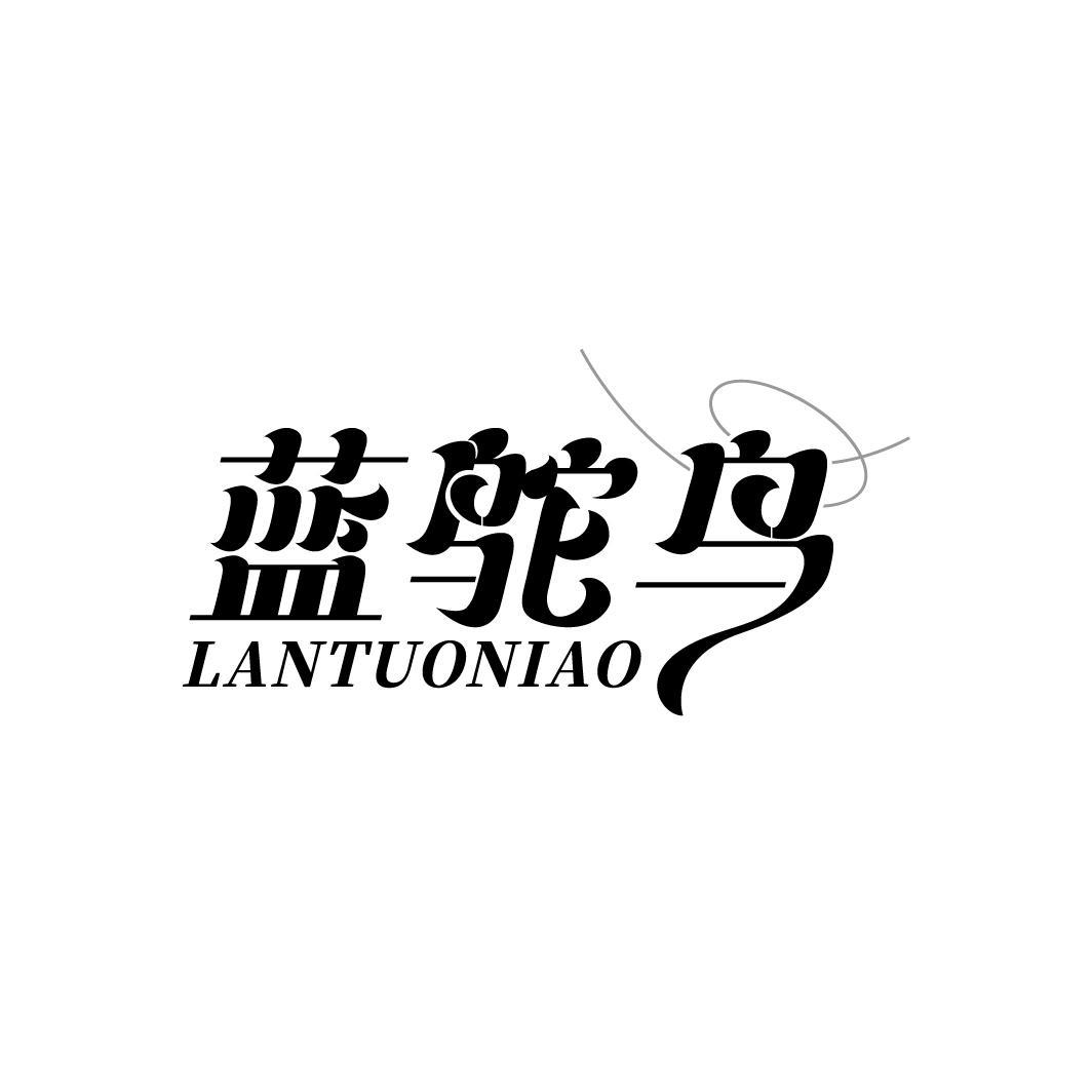 蓝鸵鸟
LANTUONIAO